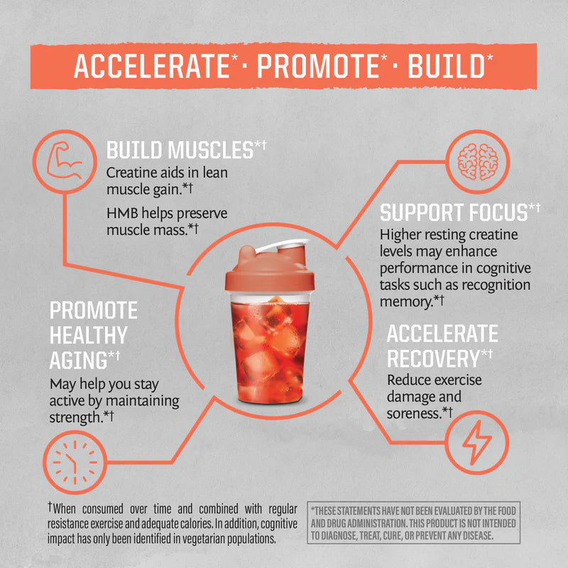 Sunwarrior Sport Active Hmb + Creatine Powder Unflavored