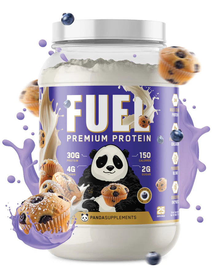 Panda Fuel Premium Protein Blueberry Muffin