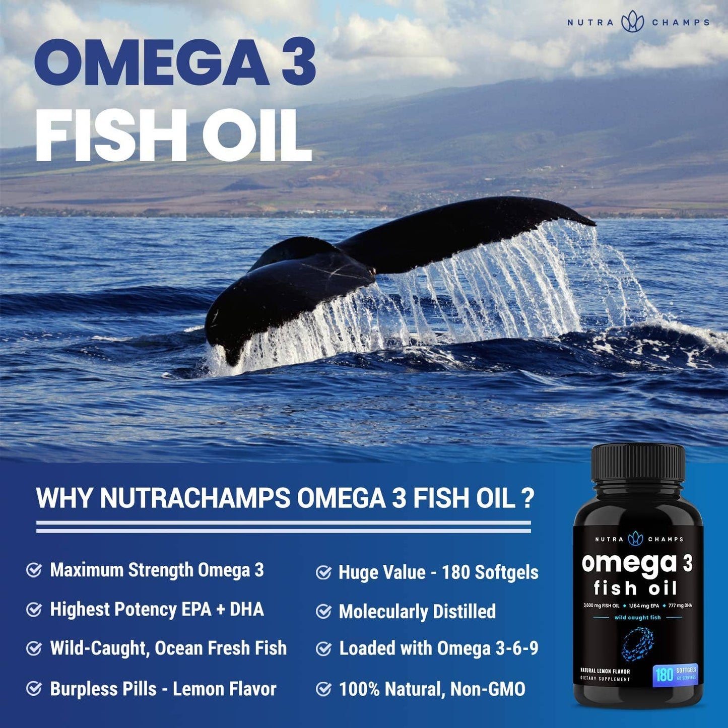 Omega 3 Fish Oil