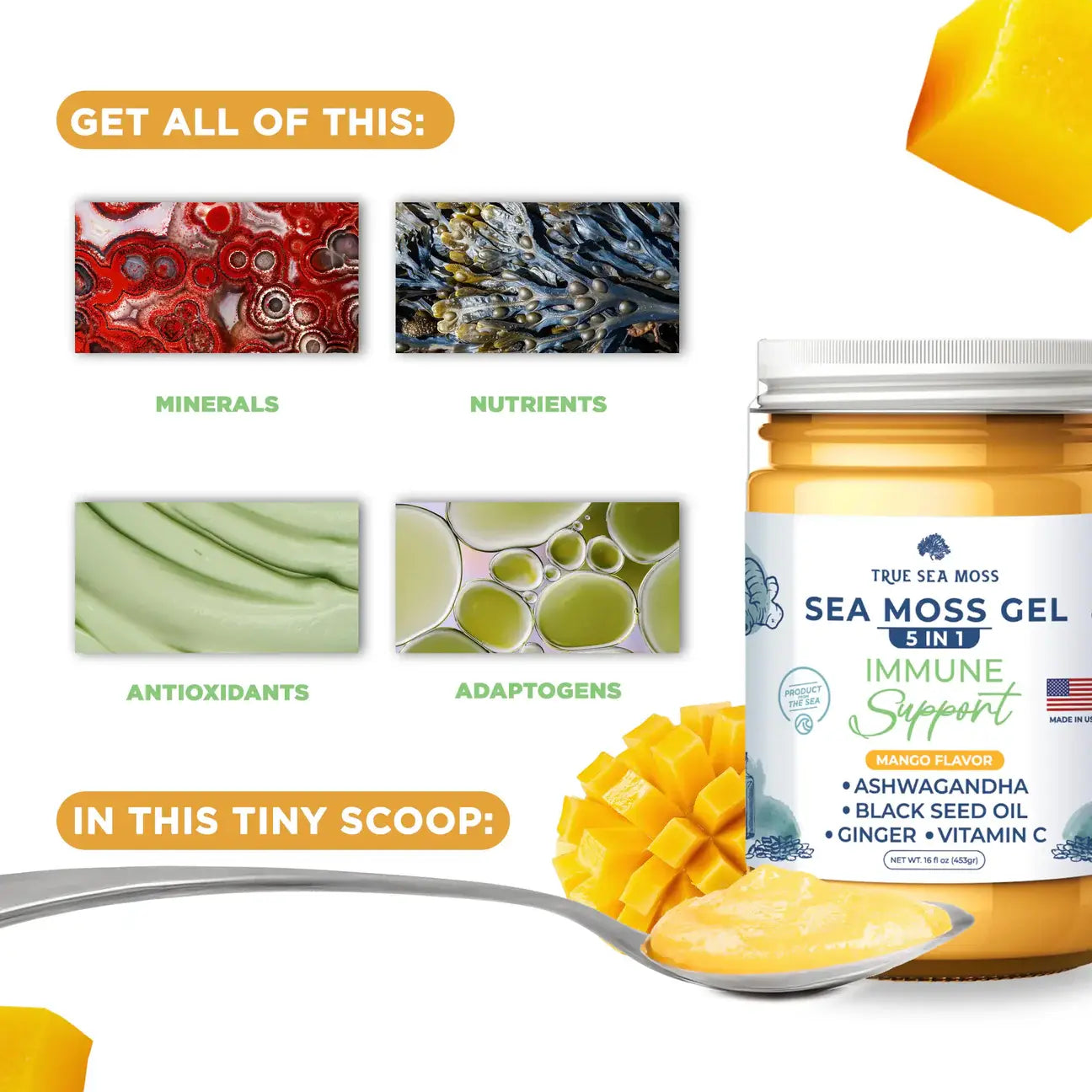 ELDERBERRY SEA MOSS GEL: 1 Pack