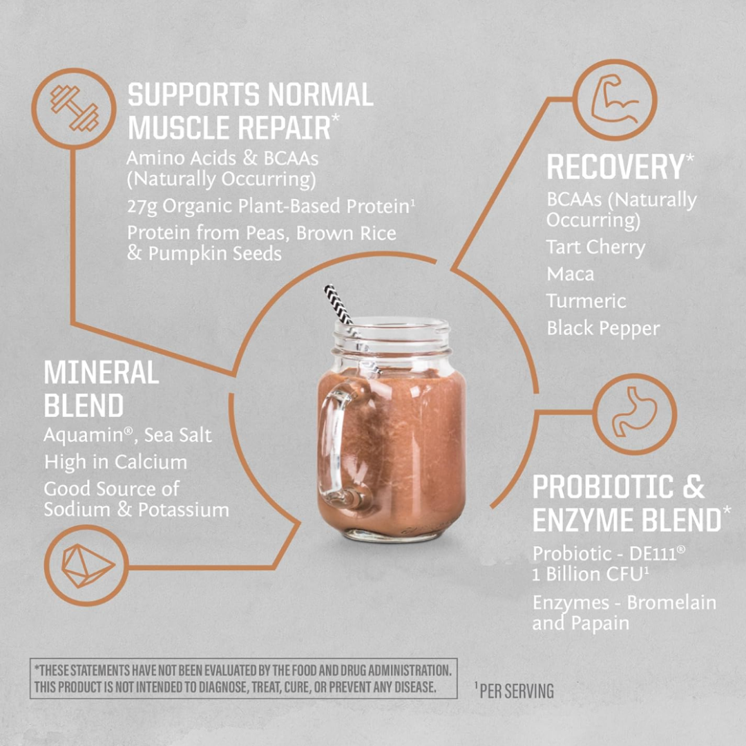 Chocolate PB Active Protein - Plant-Based, Gluten-Free